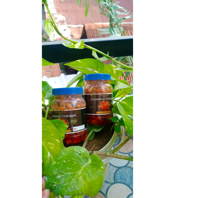 arusuvai-oorugai-pickle
